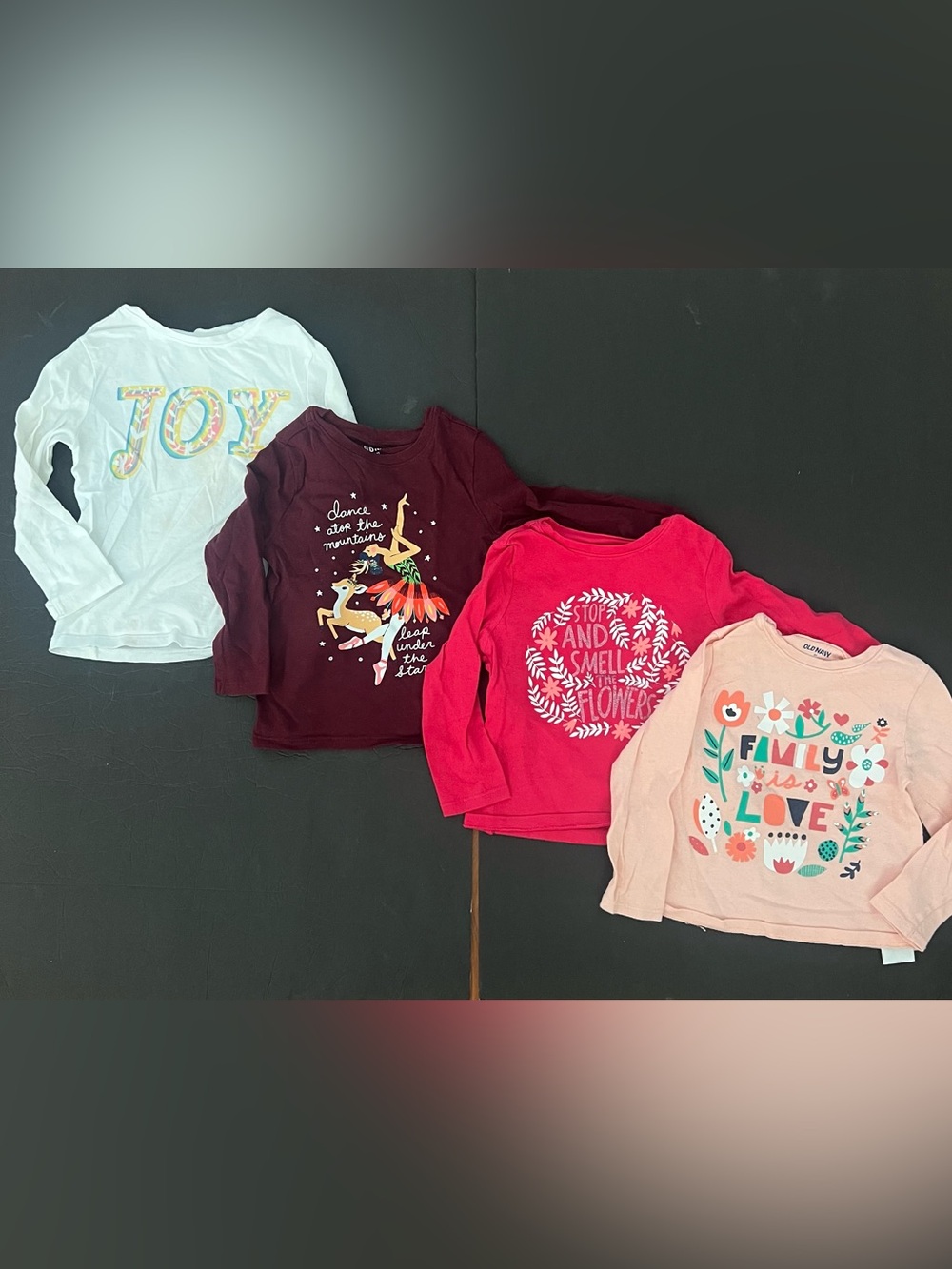 2-3T Old Navy kids girls soft crewneck long sleeves sweater / graphic tee